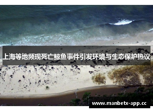 上海等地频现死亡鲸鱼事件引发环境与生态保护热议